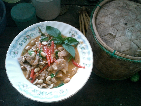 panang curry tailandés